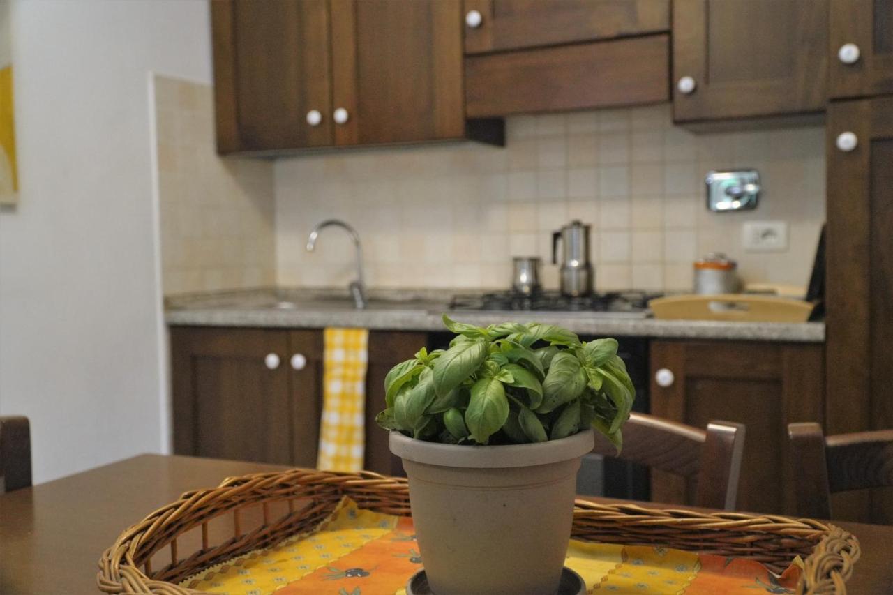 U Ciousu By Ligurian Life Appartamenti In Agriturismo Vallebona ภายนอก รูปภาพ