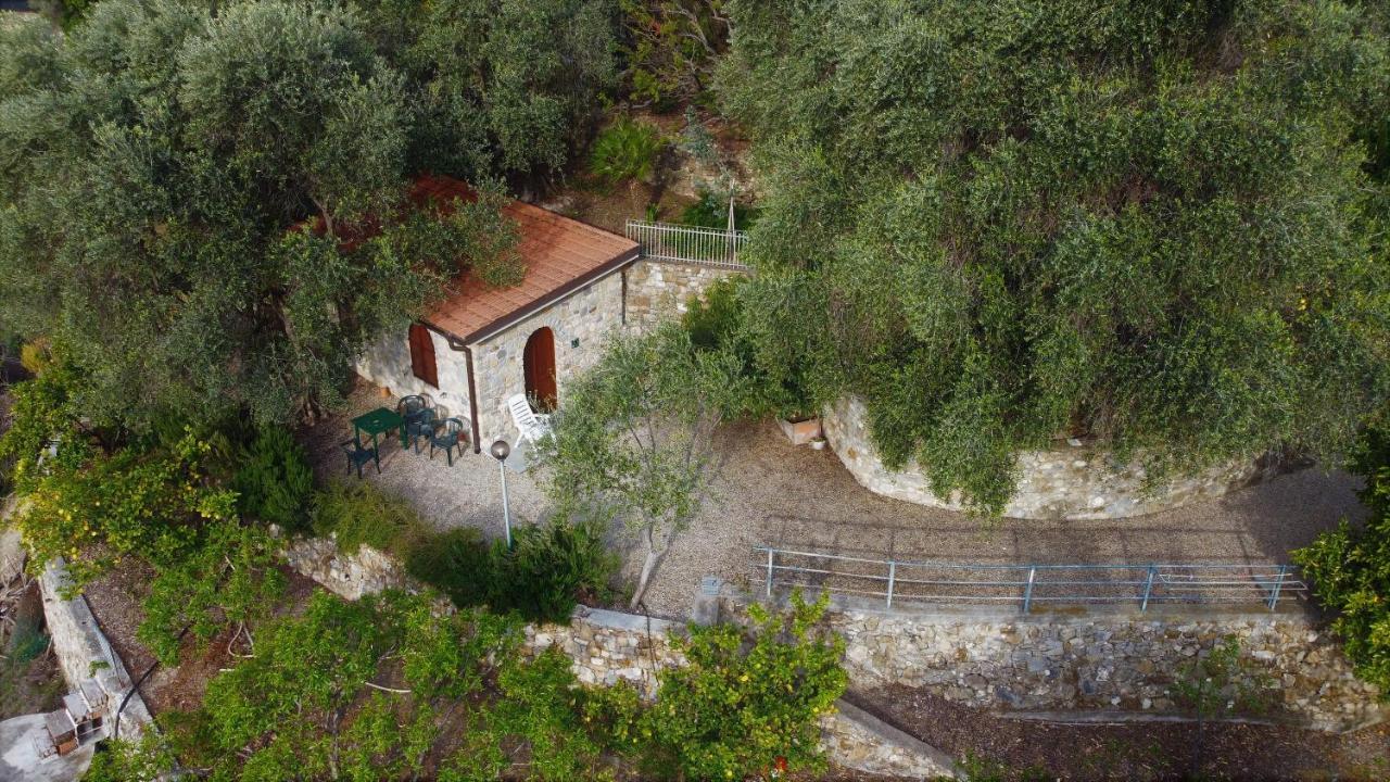 U Ciousu By Ligurian Life Appartamenti In Agriturismo Vallebona ภายนอก รูปภาพ