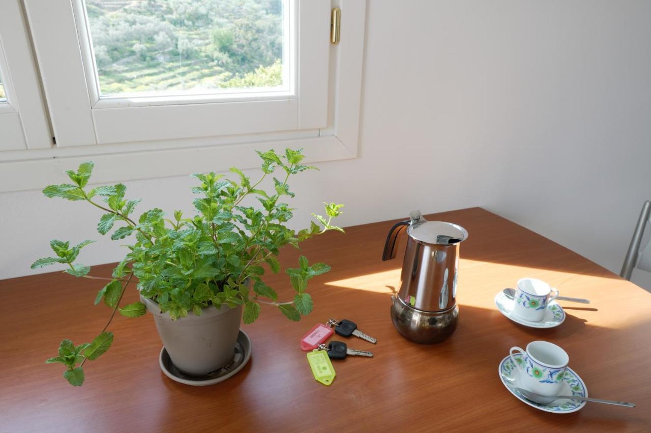 U Ciousu By Ligurian Life Appartamenti In Agriturismo Vallebona ภายนอก รูปภาพ