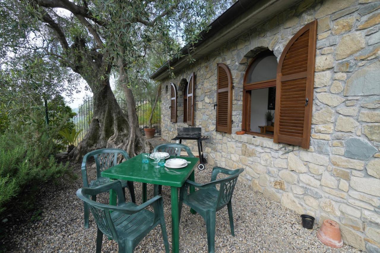 U Ciousu By Ligurian Life Appartamenti In Agriturismo Vallebona ภายนอก รูปภาพ