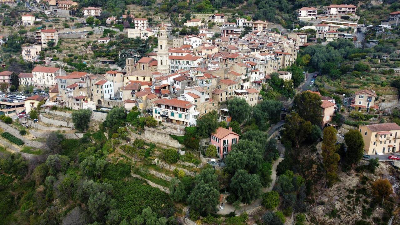 U Ciousu By Ligurian Life Appartamenti In Agriturismo Vallebona ภายนอก รูปภาพ