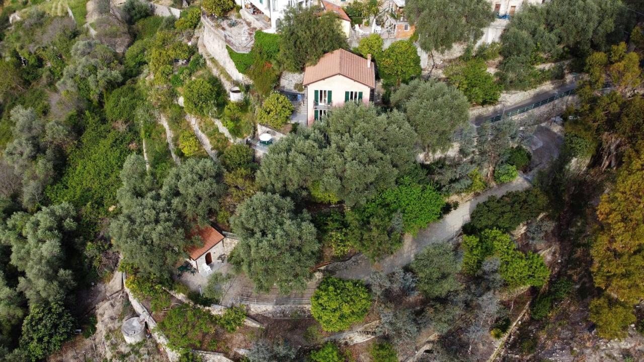 U Ciousu By Ligurian Life Appartamenti In Agriturismo Vallebona ภายนอก รูปภาพ