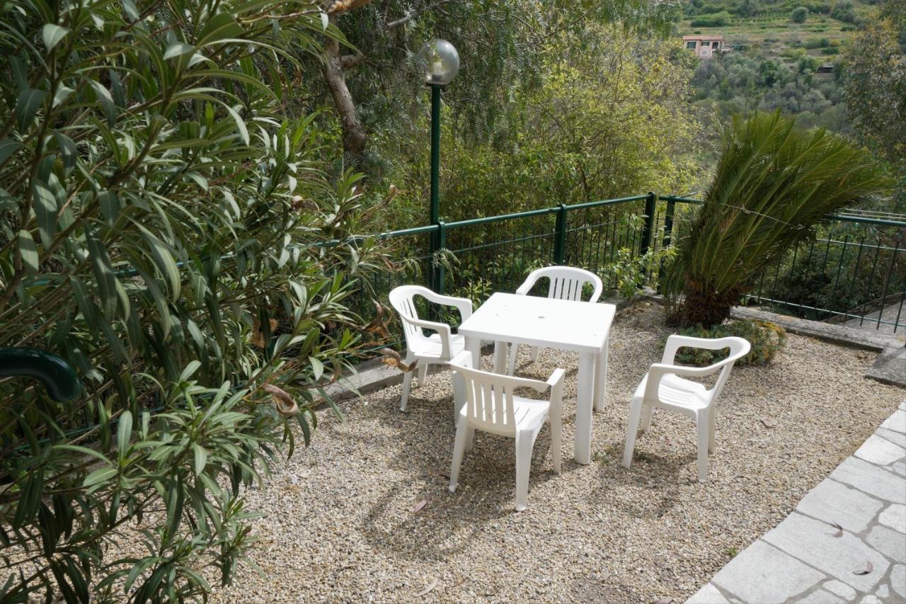 U Ciousu By Ligurian Life Appartamenti In Agriturismo Vallebona ภายนอก รูปภาพ