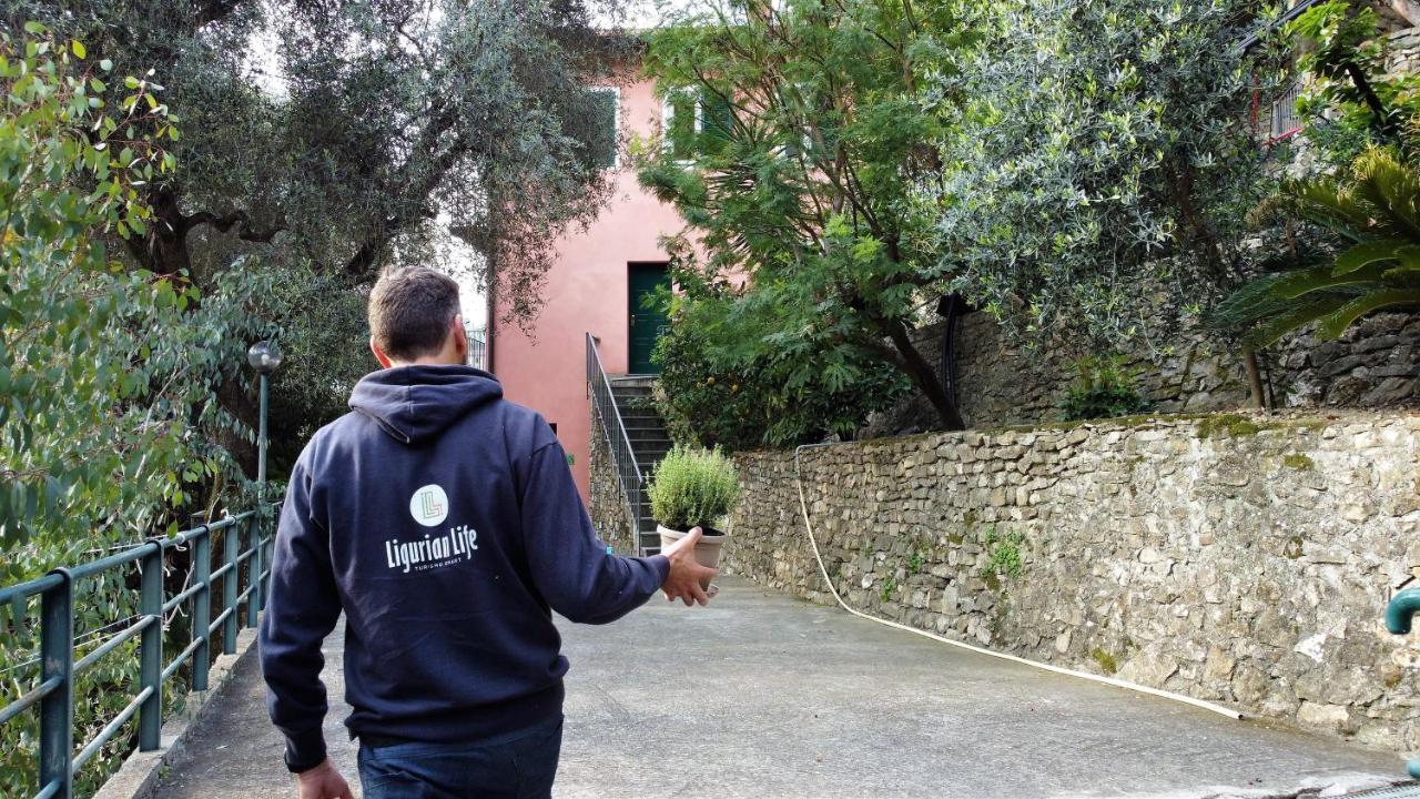 U Ciousu By Ligurian Life Appartamenti In Agriturismo Vallebona ภายนอก รูปภาพ