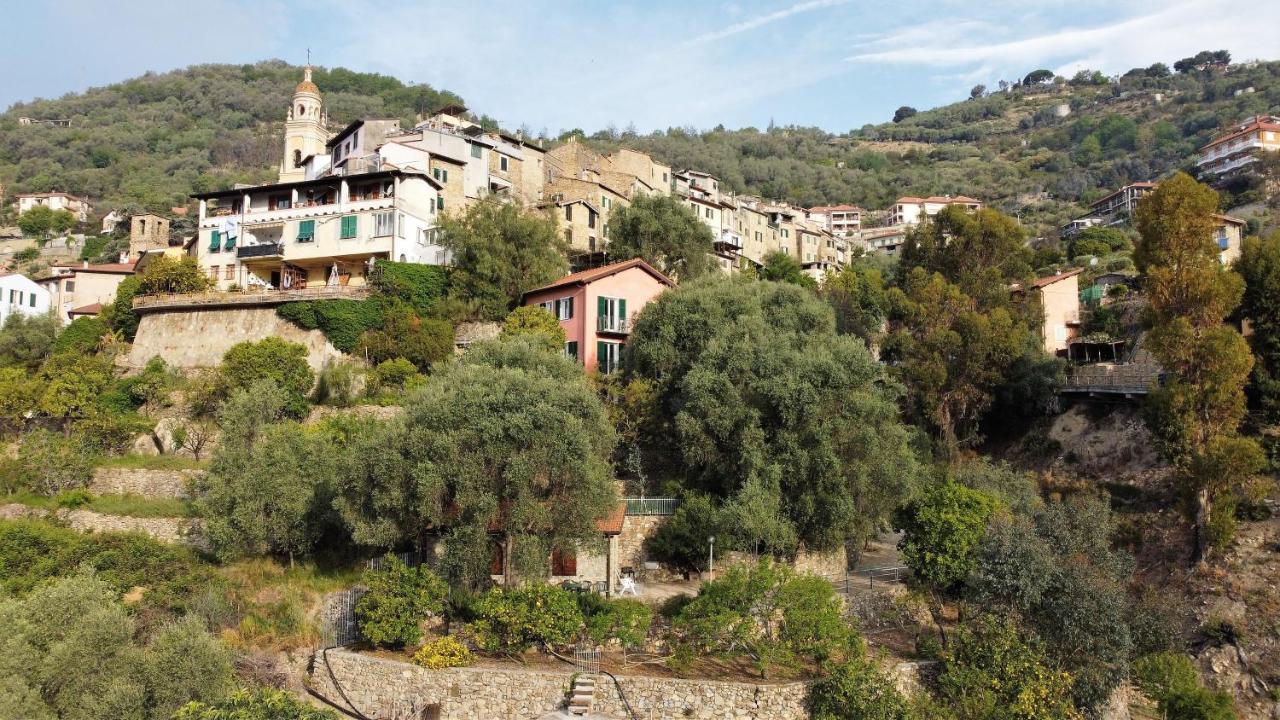 U Ciousu By Ligurian Life Appartamenti In Agriturismo Vallebona ภายนอก รูปภาพ