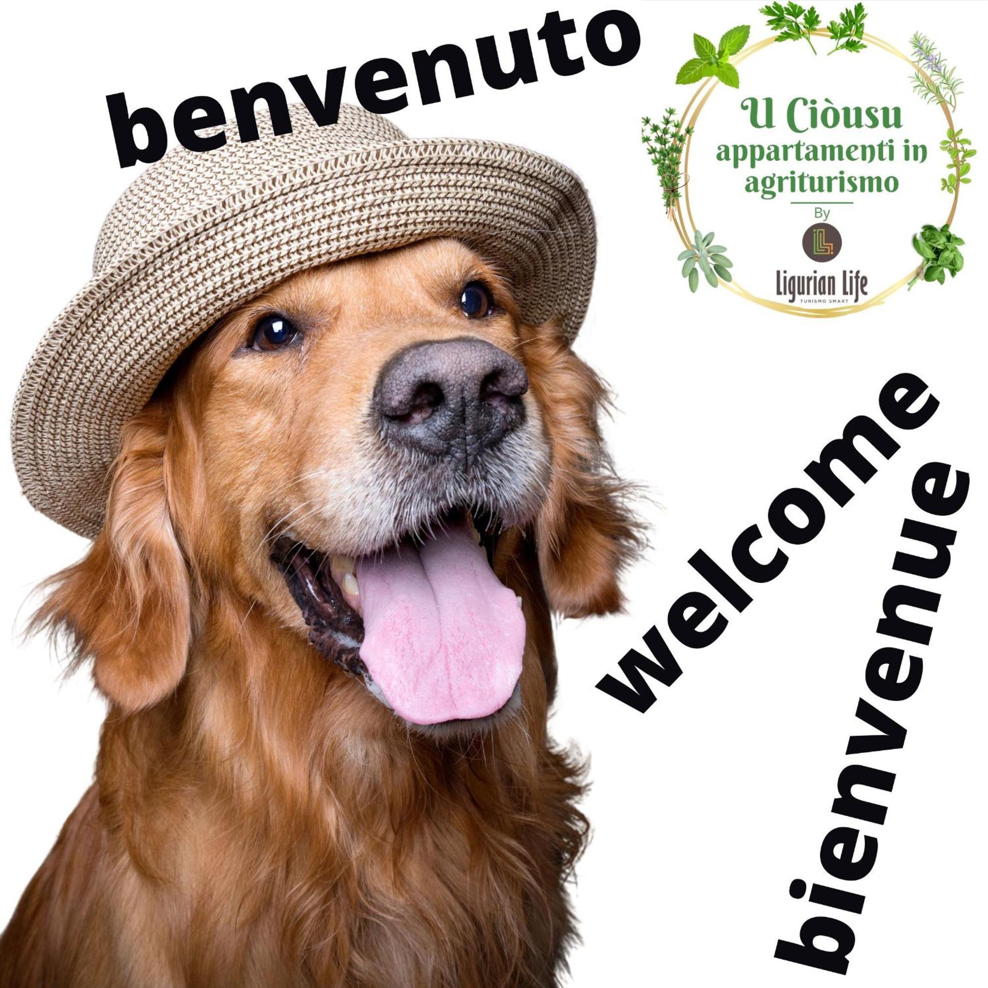U Ciousu By Ligurian Life Appartamenti In Agriturismo Vallebona ภายนอก รูปภาพ