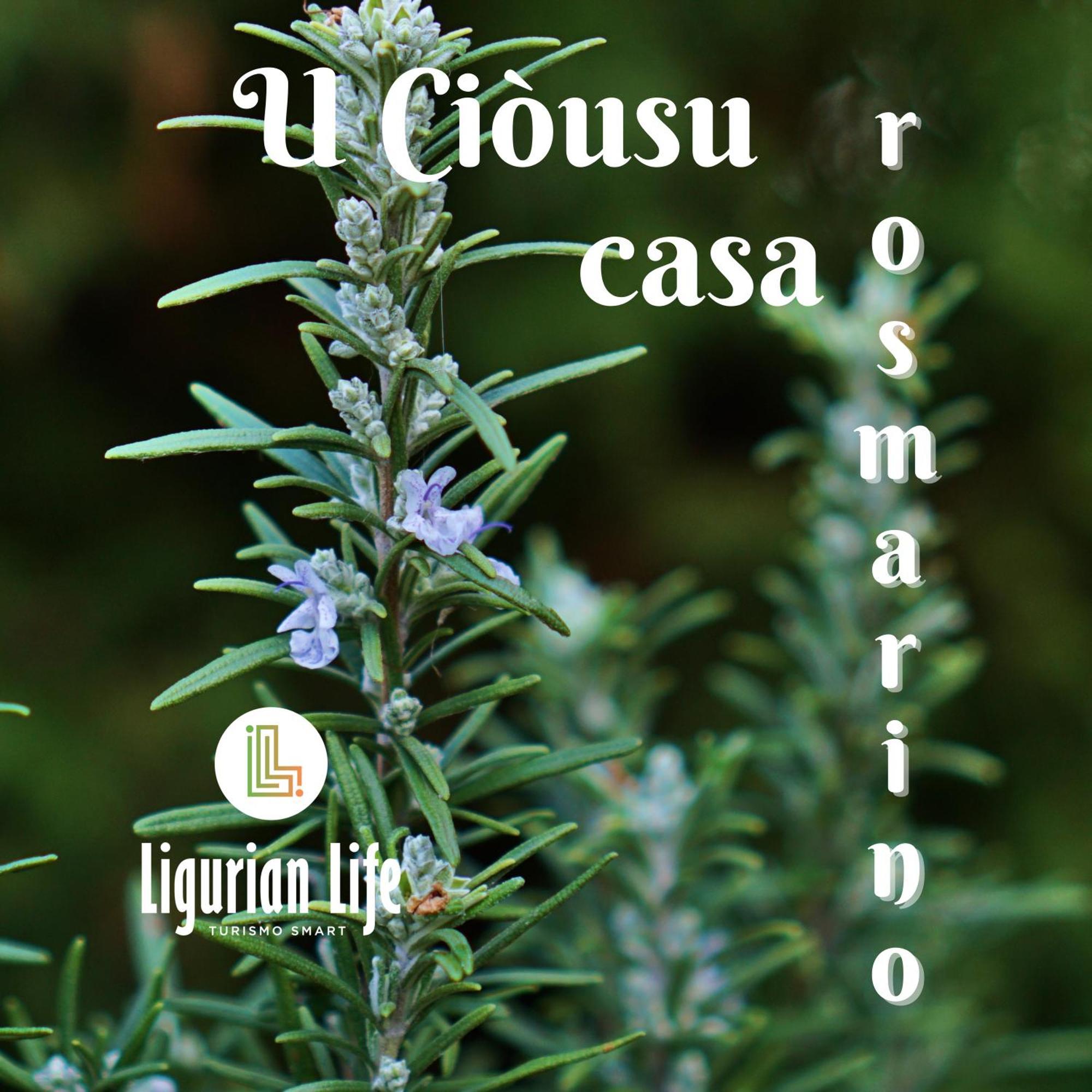 U Ciousu By Ligurian Life Appartamenti In Agriturismo Vallebona ห้อง รูปภาพ